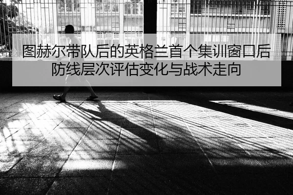 tu-he-er-dai-dui-hou-de-ying-ge-lan-shou-ge-ji-xun-chuang-kou-hou-fang-xian-ceng-ci-ping-gu-bian-hua-yu-zhan-shu-zou-2-443.jpg