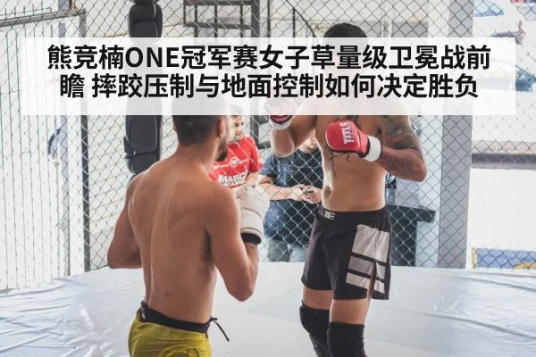mixed martial arts cage fight